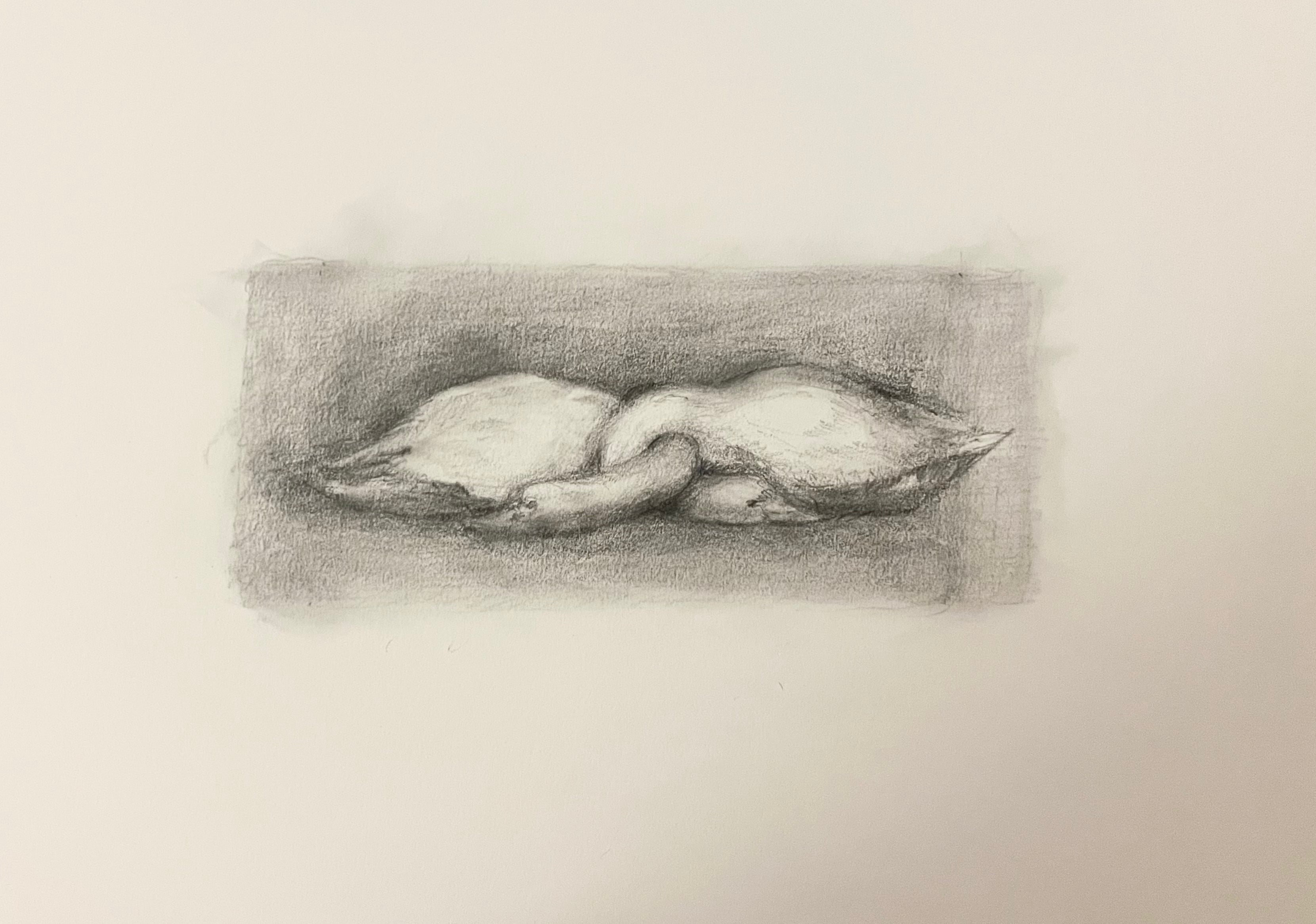 Two Swans